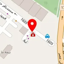 پت شاپ رازان