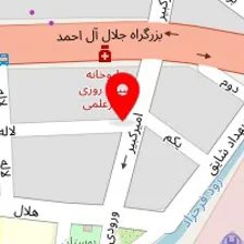 پت شاپ پرشین کت