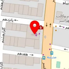 پت شاپ بینگو