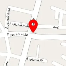 پت شاپ پسر شجاع