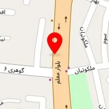 پت شاپ لوکا