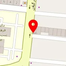 پت شاپ پارسه