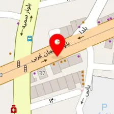 پت شاپ سالوکی