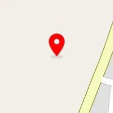 پت شاپ اسب طلایی