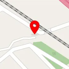 دان پرندگان ولی عصر