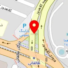 توکسین بایندر تک جزئی