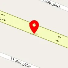 پت شاپ بیتا