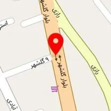 پت شاپ هانا