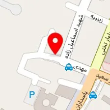 کلینیک دامپزشکی و پت شاپ پرشین