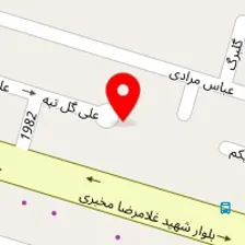 پت شاپ پونک پت