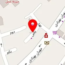 آرایشگاه حیوانات خانگی پت واش