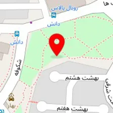 پت شاپ نایت