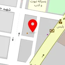 غذای آماده شاندیز