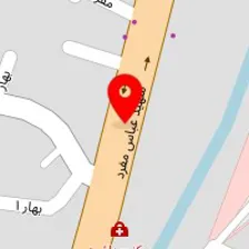 تهیه غذا خانگی و بیرون بر گل خانم