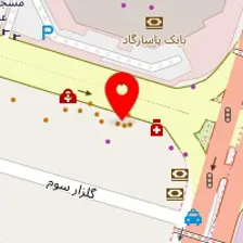 رستوران سلف سرویس دیس پرشین دیس