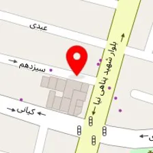 تهیه غذای برلیان