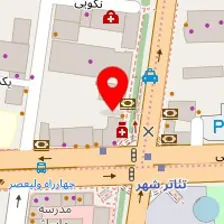 رستوران ایرانی حاج محسن