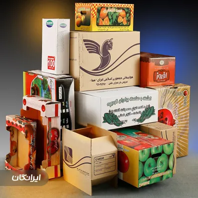 کارتن سازی عقاب