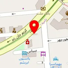 پایا پروژکتور