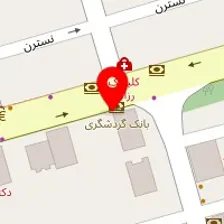 پالسی نو (سامانه آنلاین خدمات پزشکی)