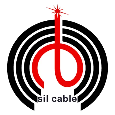 لوگوی شرکت رسا کابل پیشگامان