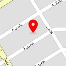 پرستار خصوصی (محمدیان)