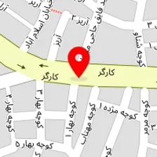 گاری عکس و فیلم هستی