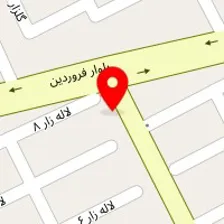 عکاسی وفیلمبرداری سناتور