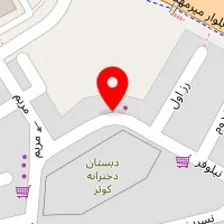 عکاسی رخساره