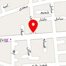 متخصص طب سنتی در اصفهان صفوی