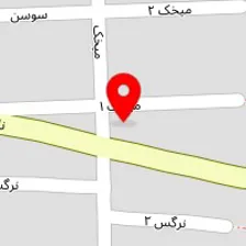 طب سنتی کاکتوس