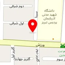 طب سنتی ابن سینا