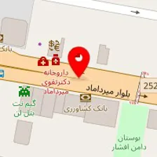 دکتر رویا زارع