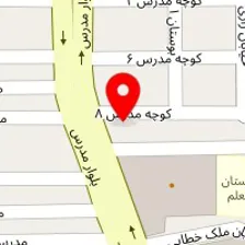 گانودرما _ تیم تحقیقاتی امیرکبیر