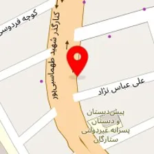 پلاسکو ممتاز