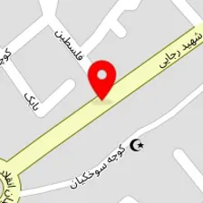 کیف و کفش پانار