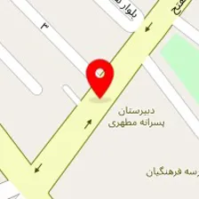 پلاسکو حیدری