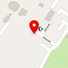 تهیه غذای ارکیده