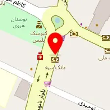 تهیه غذای خانگی سلامت