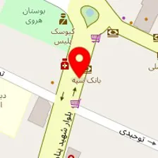 تهیه غذای سیب نقره ای