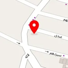 تهیه غذای ایرانی چیاکو