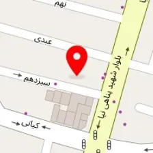 تهیه غذای آقا جون