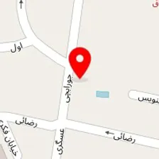 تهیه غذا بیست