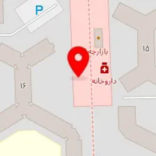 تهیه غذای رادین