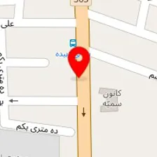 تهیه غذای کلاسیک