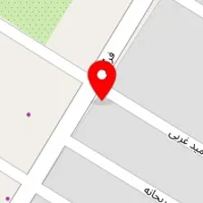 تهیه غذا زیتون