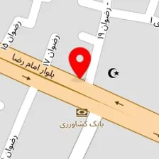 خدمات صوتی و تصویری تسلا