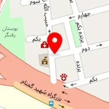 آزمایشگاه ژنتیک سیتوژنوم