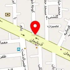 دکتر محمد رضوی