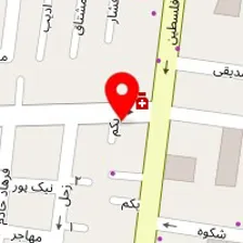 تصویربرداری پزشکی داپلر کاخ